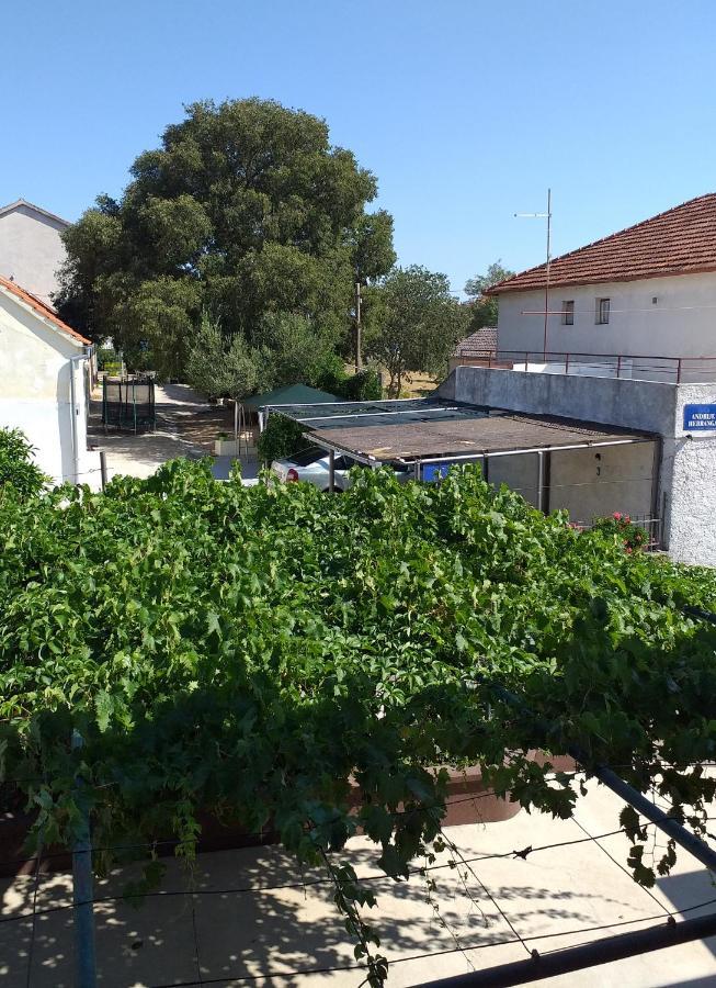 Apartments Jelicic Biograd Na Moru Bagian luar foto