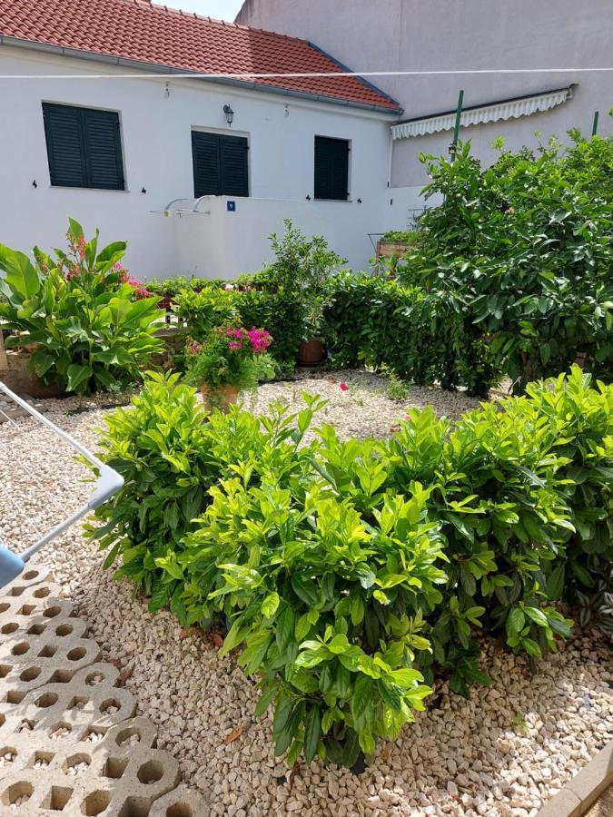 Apartments Jelicic Biograd Na Moru Bagian luar foto