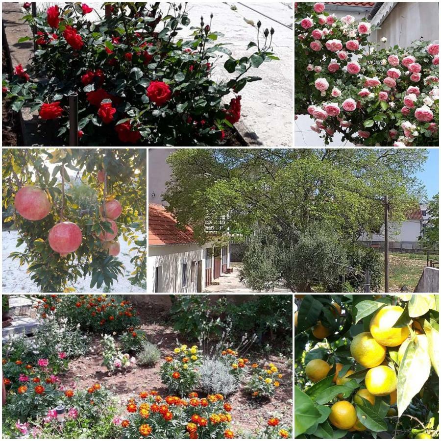 Apartments Jelicic Biograd Na Moru Bagian luar foto